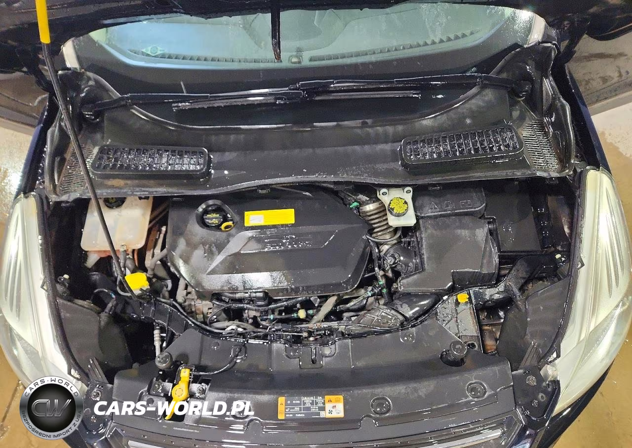 2016 Ford Escape Se VIN:1FMCU0GX2GUC77414 - 12