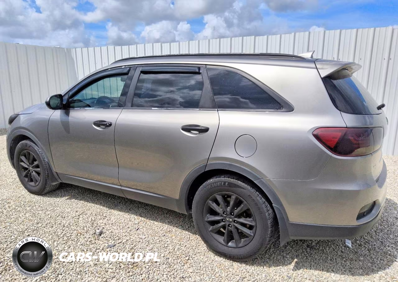 2019 Kia Sorento Lx VIN:5XYPG4A3XKG531682 - 2