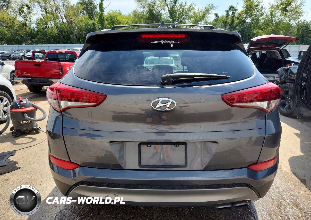 2017 Hyundai Tucson Limited VIN:KM8J3CA23HU343981 - 6