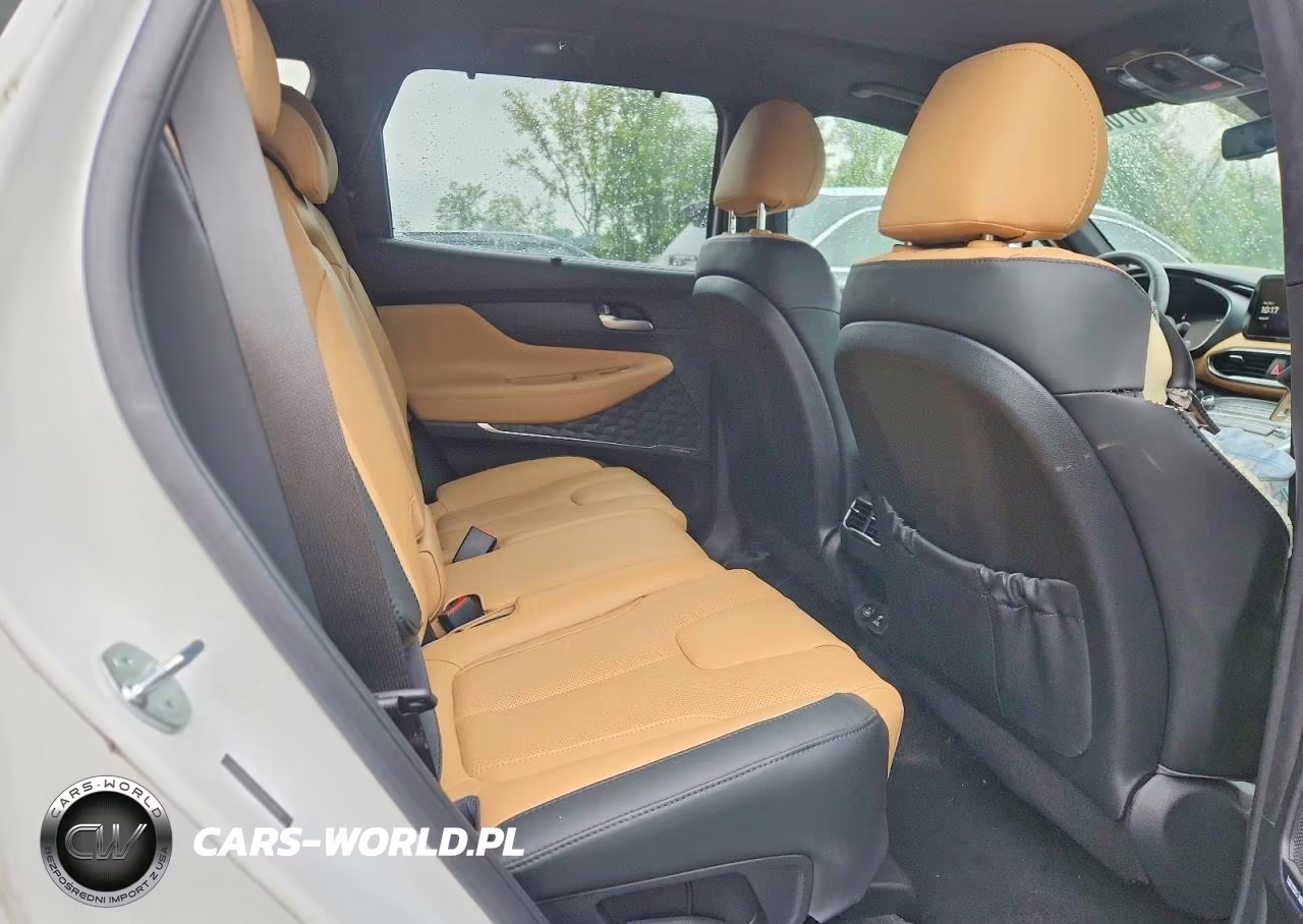 2023 Hyundai Santa Fe Calligraphy VIN:5NMS5DAL8PH638016 - 11