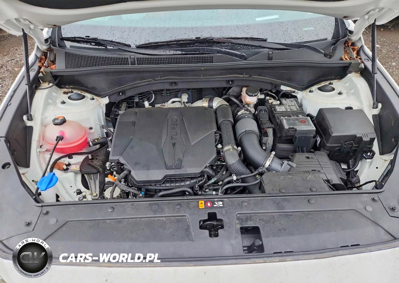 2023 Hyundai Santa Fe Calligraphy VIN:5NMS5DAL8PH638016 - 12