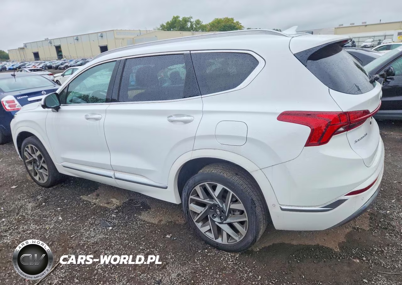 2023 Hyundai Santa Fe Calligraphy VIN:5NMS5DAL8PH638016 - 2