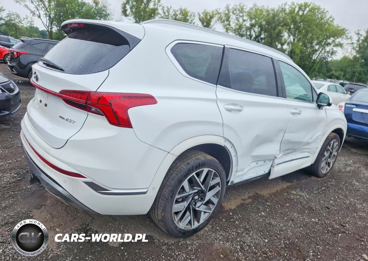 2023 Hyundai Santa Fe Calligraphy VIN:5NMS5DAL8PH638016 - 3