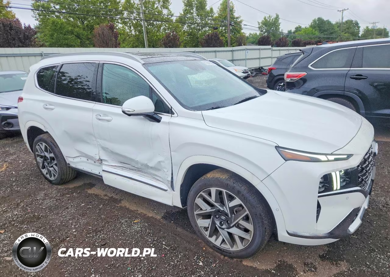 2023 Hyundai Santa Fe Calligraphy VIN:5NMS5DAL8PH638016 - 4