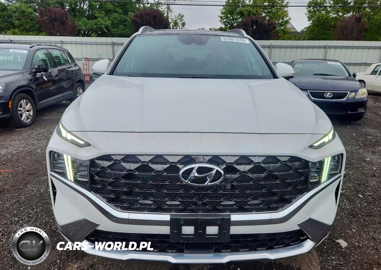 2023 Hyundai Santa Fe Calligraphy VIN:5NMS5DAL8PH638016 - 5