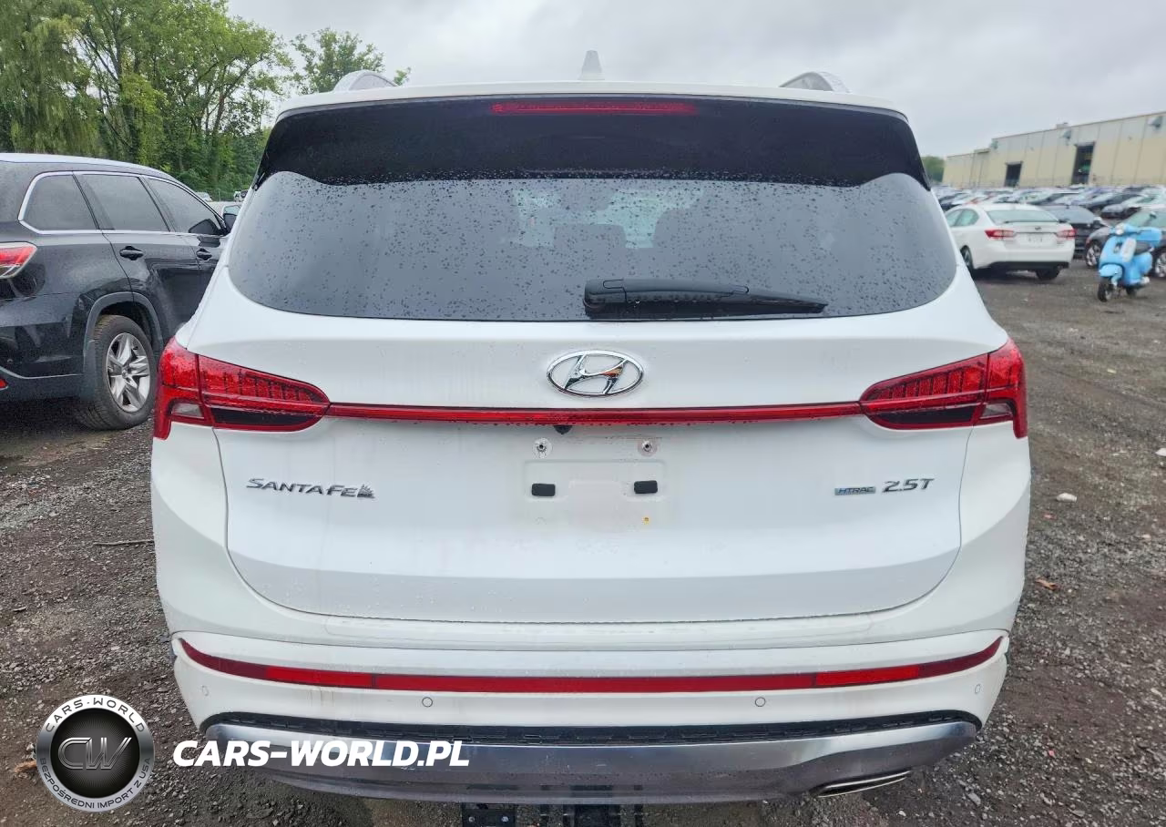 2023 Hyundai Santa Fe Calligraphy VIN:5NMS5DAL8PH638016 - 6