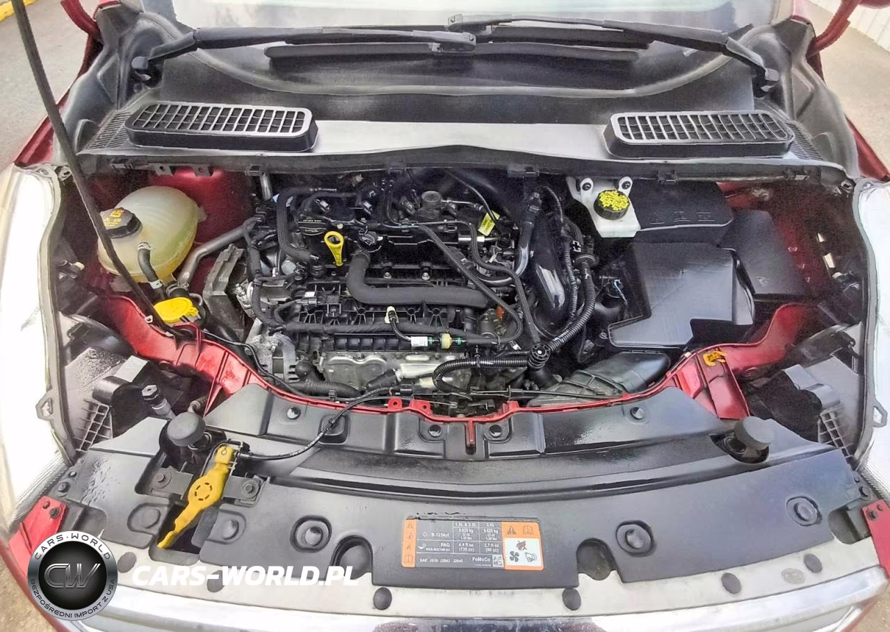 2019 Ford Escape Se VIN:1FMCU0GD5KUB34651 - 12