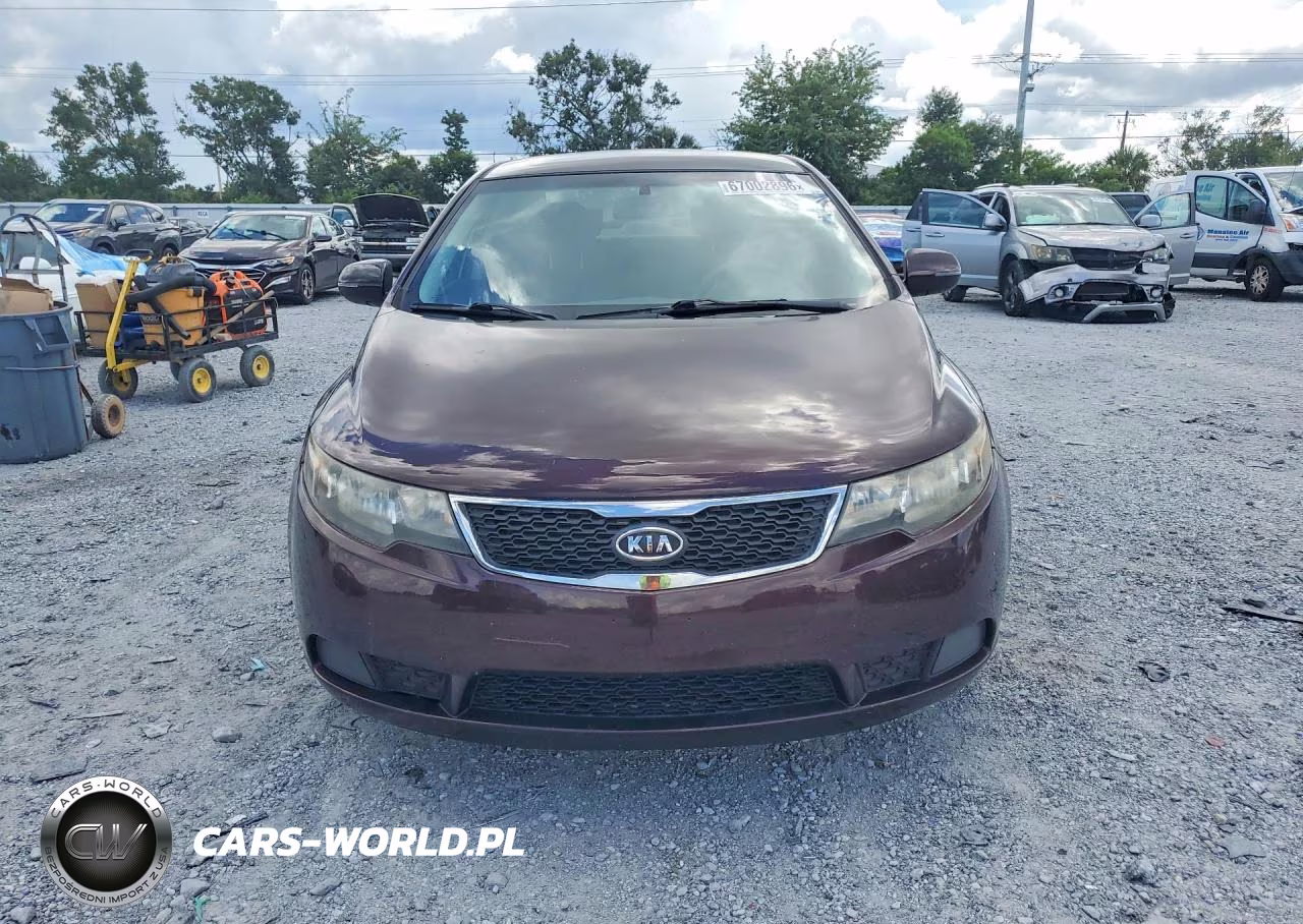 2011 Kia Forte Ex VIN:KNAFU4A21B5459529 - 5