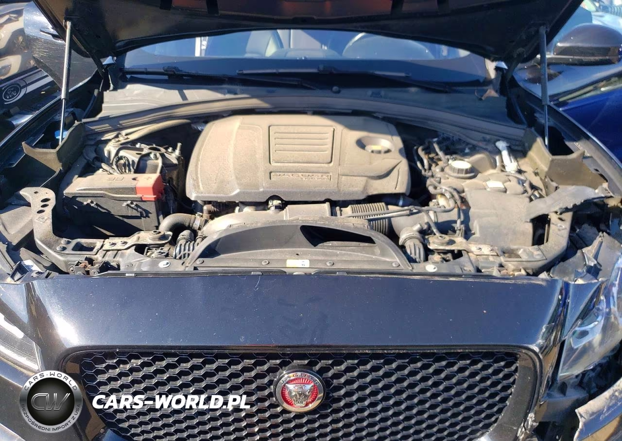 2018 Jaguar F-Pace Premium VIN:SADCJ2FX6JA273695 - 11