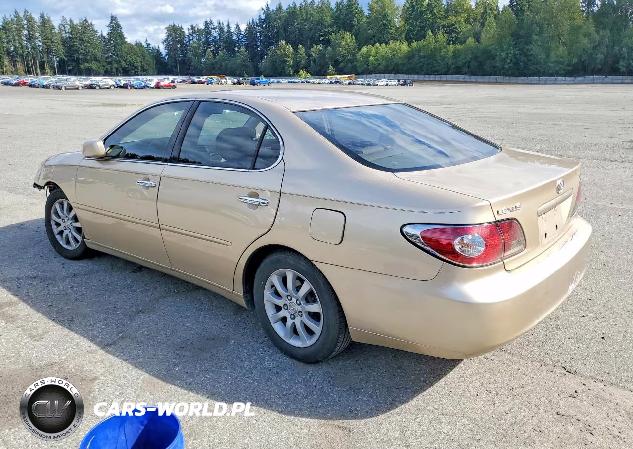 2003 Lexus Es 300 VIN:JTHBF30G035041515 - 2