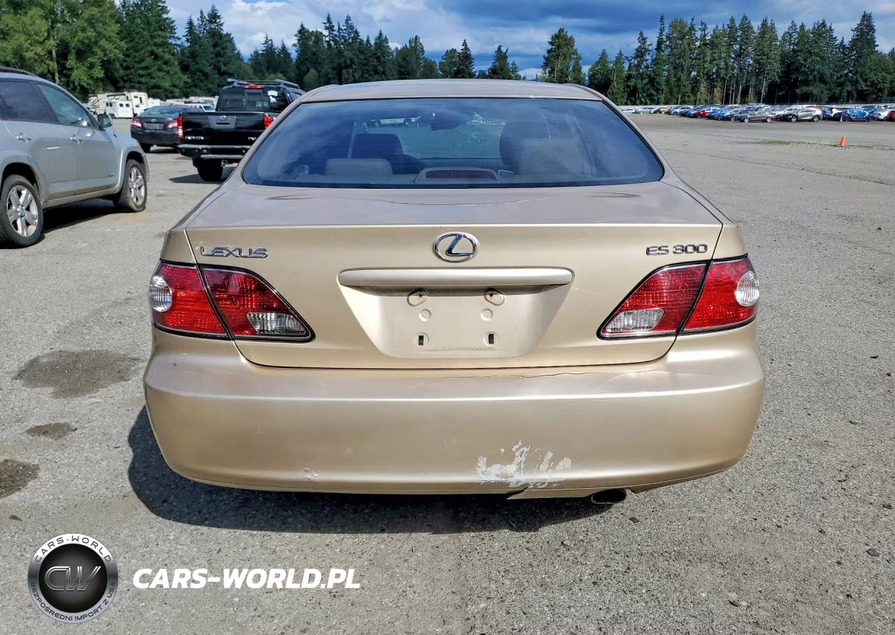 2003 Lexus Es 300 VIN:JTHBF30G035041515 - 6