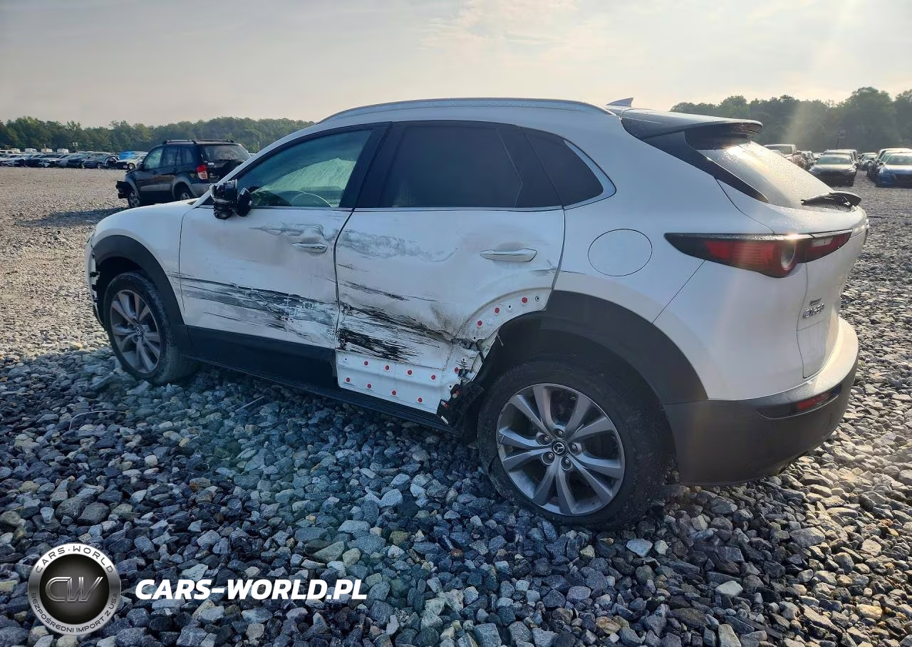 2021 Mazda Cx-30 Premium VIN:3MVDMADL6MM241479 - 2