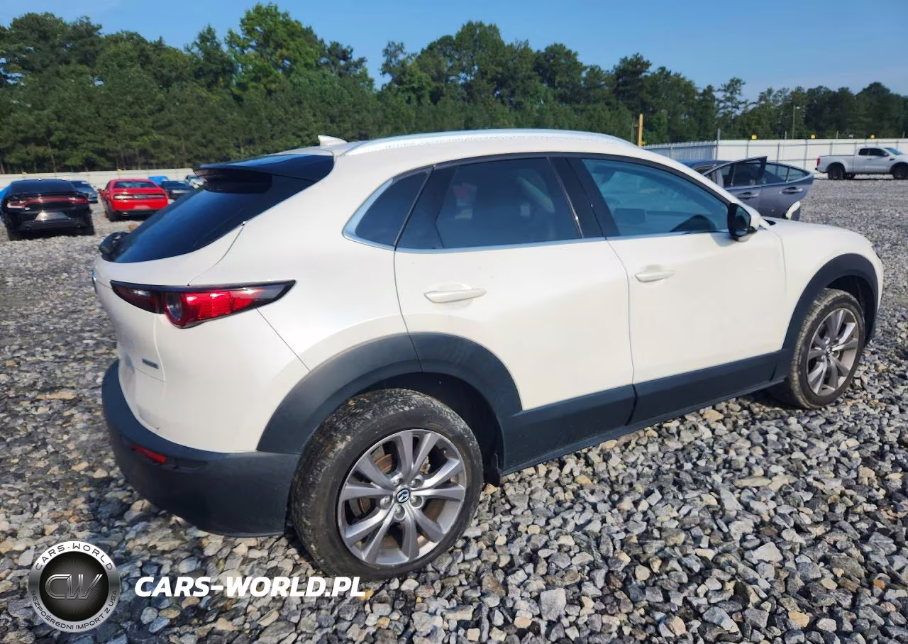 2021 Mazda Cx-30 Premium VIN:3MVDMADL6MM241479 - 3
