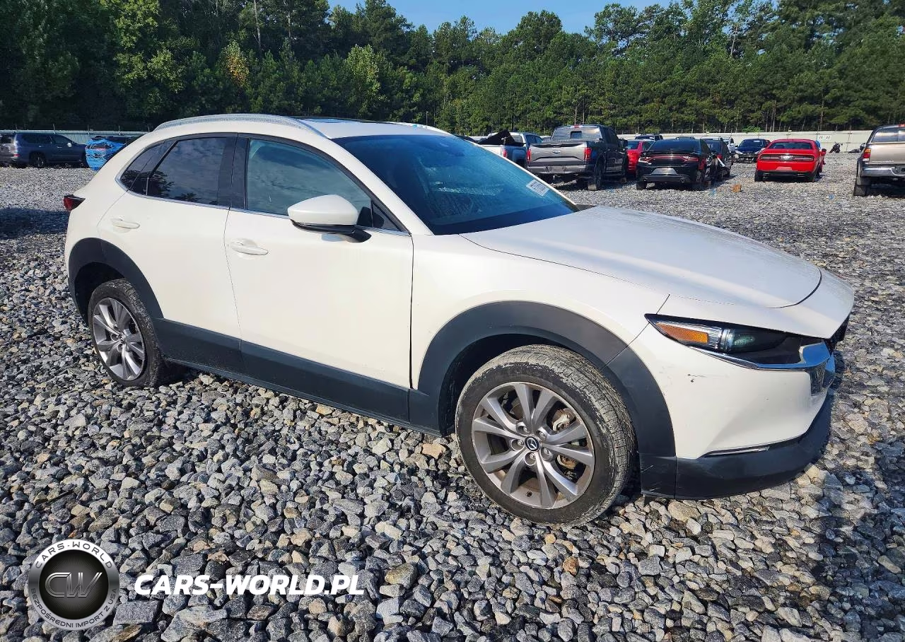 2021 Mazda Cx-30 Premium VIN:3MVDMADL6MM241479 - 4