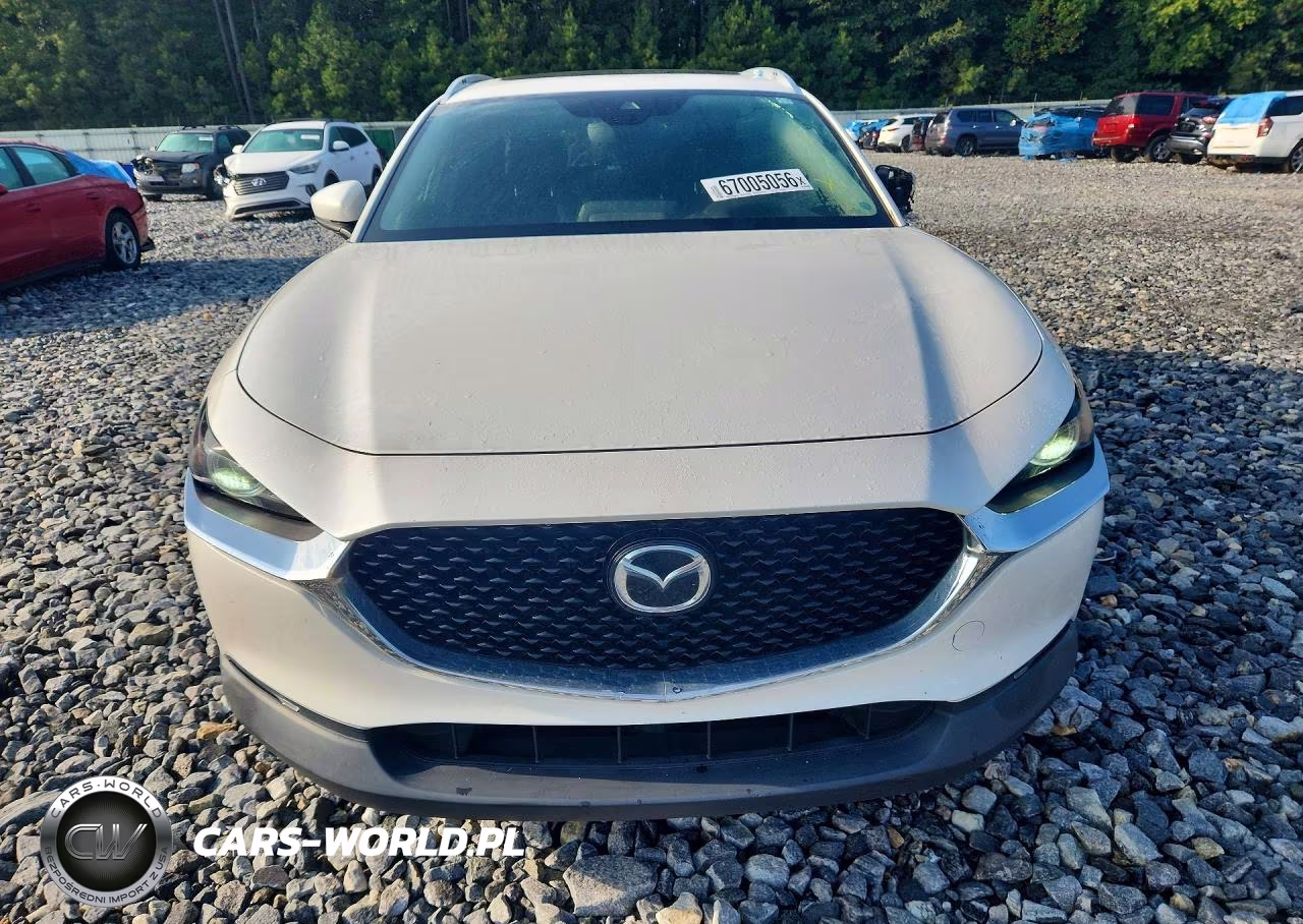 2021 Mazda Cx-30 Premium VIN:3MVDMADL6MM241479 - 5