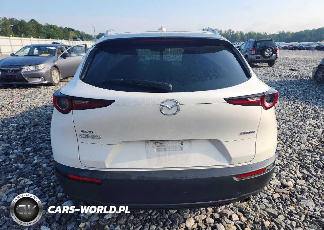 2021 Mazda Cx-30 Premium VIN:3MVDMADL6MM241479 - 6