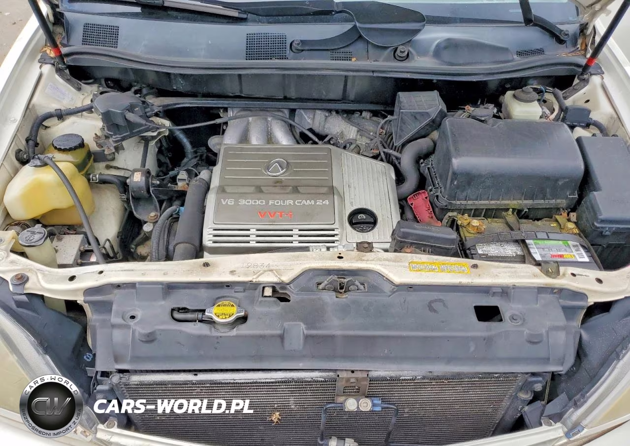 2000 Lexus Rx 300 VIN:JT6HF10U6Y0149719 - 12