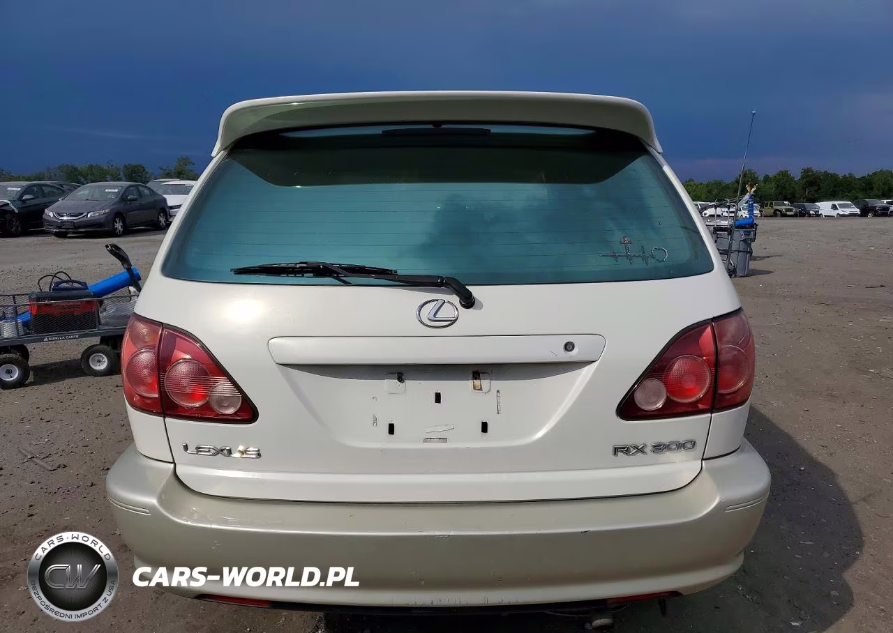 2000 Lexus Rx 300 VIN:JT6HF10U6Y0149719 - 6