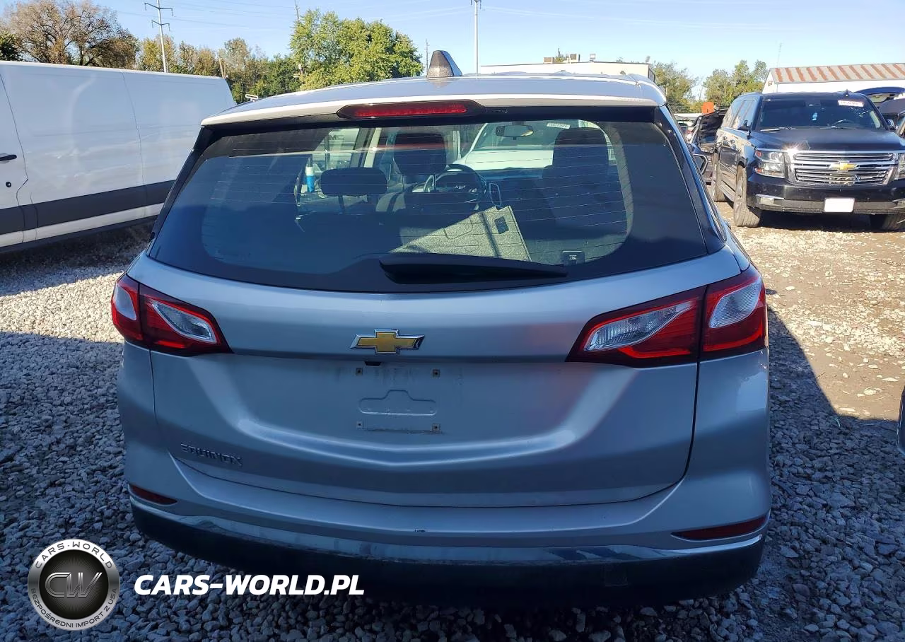 2018 Chevrolet Equinox Ls VIN:3GNAXHEV8JL373639 - 6