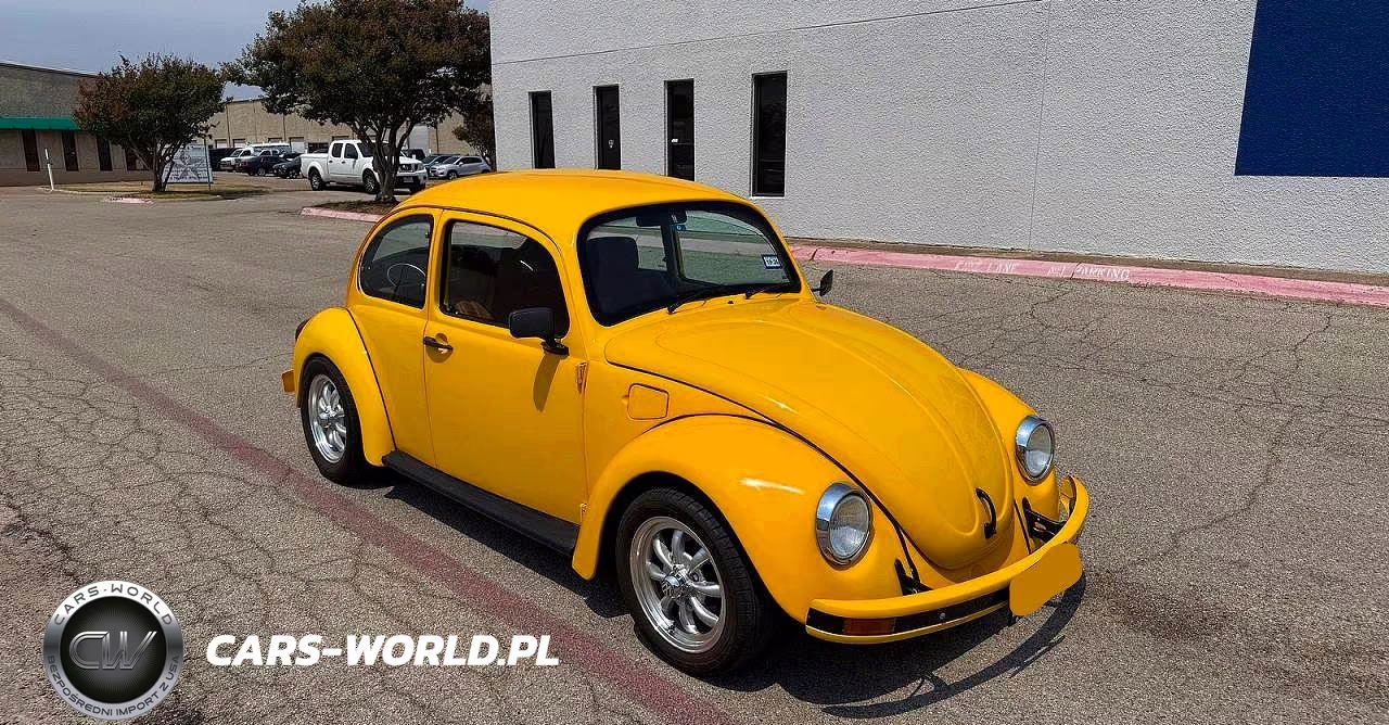 1984 Volkswagen Bug – zdjęcie 1 z 15