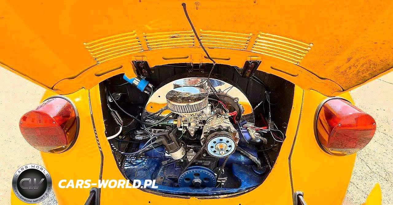 1984 Volkswagen Bug VIN:11E0114809 - 7