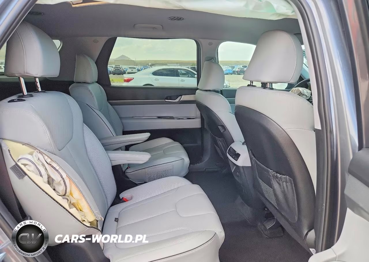 2025 Hyundai Palisade Sel VIN:KM8R2DGE9SU893285 - 10