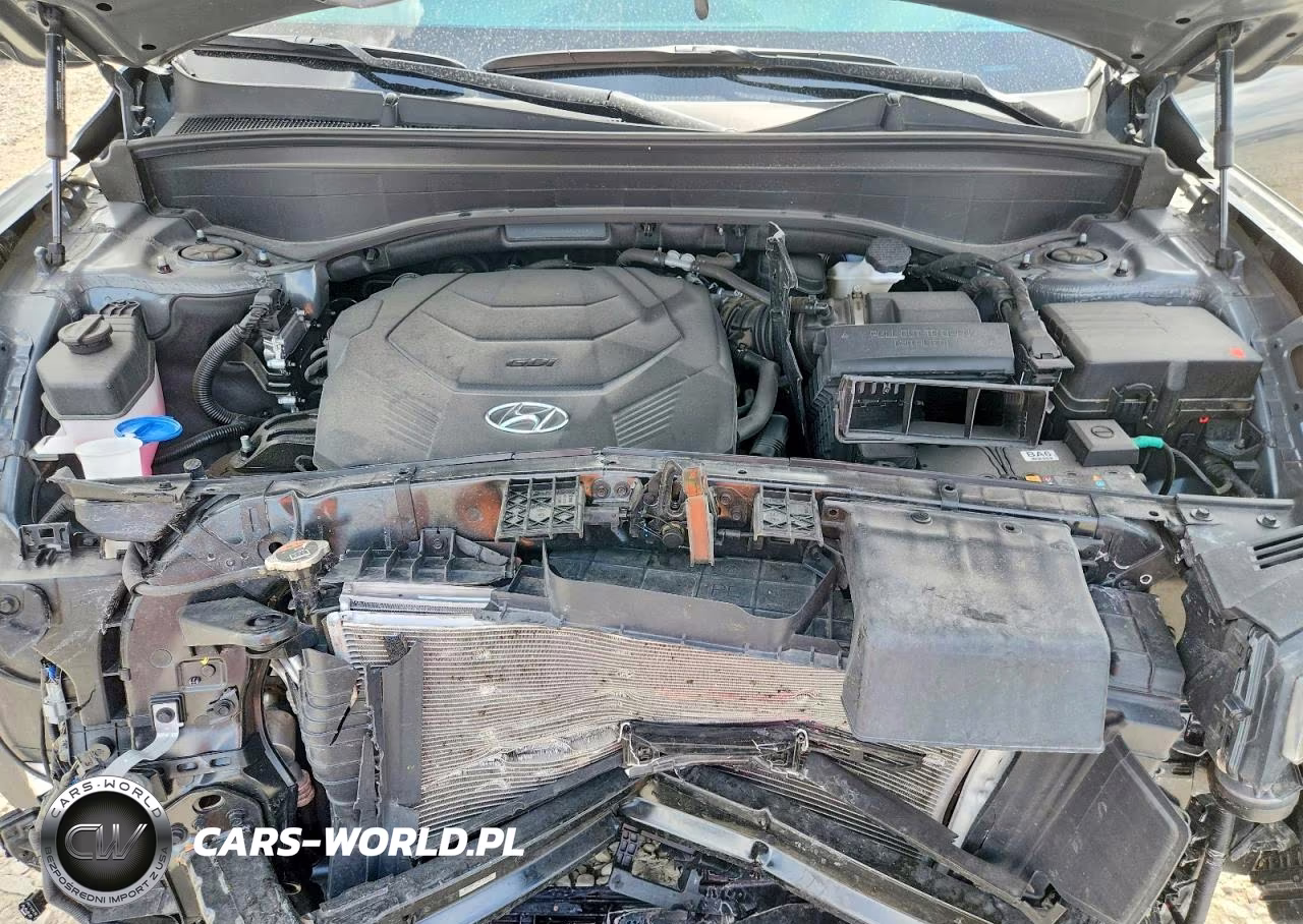 2025 Hyundai Palisade Sel VIN:KM8R2DGE9SU893285 - 11