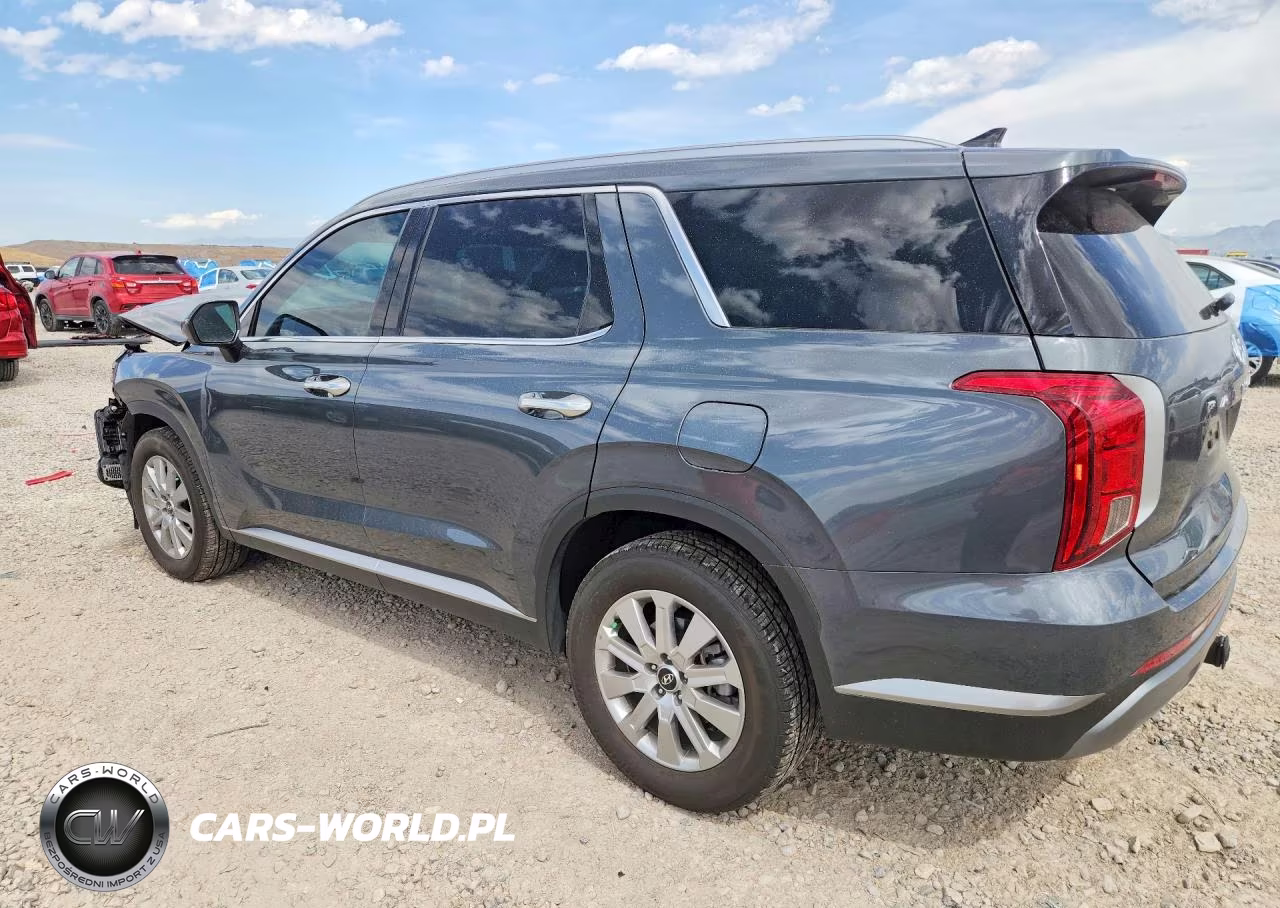 2025 Hyundai Palisade Sel VIN:KM8R2DGE9SU893285 - 2