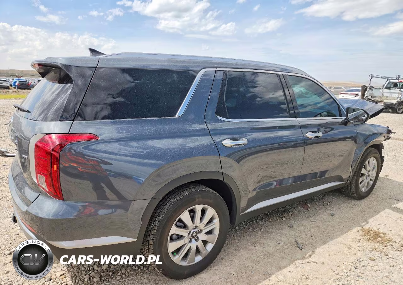 2025 Hyundai Palisade Sel VIN:KM8R2DGE9SU893285 - 3