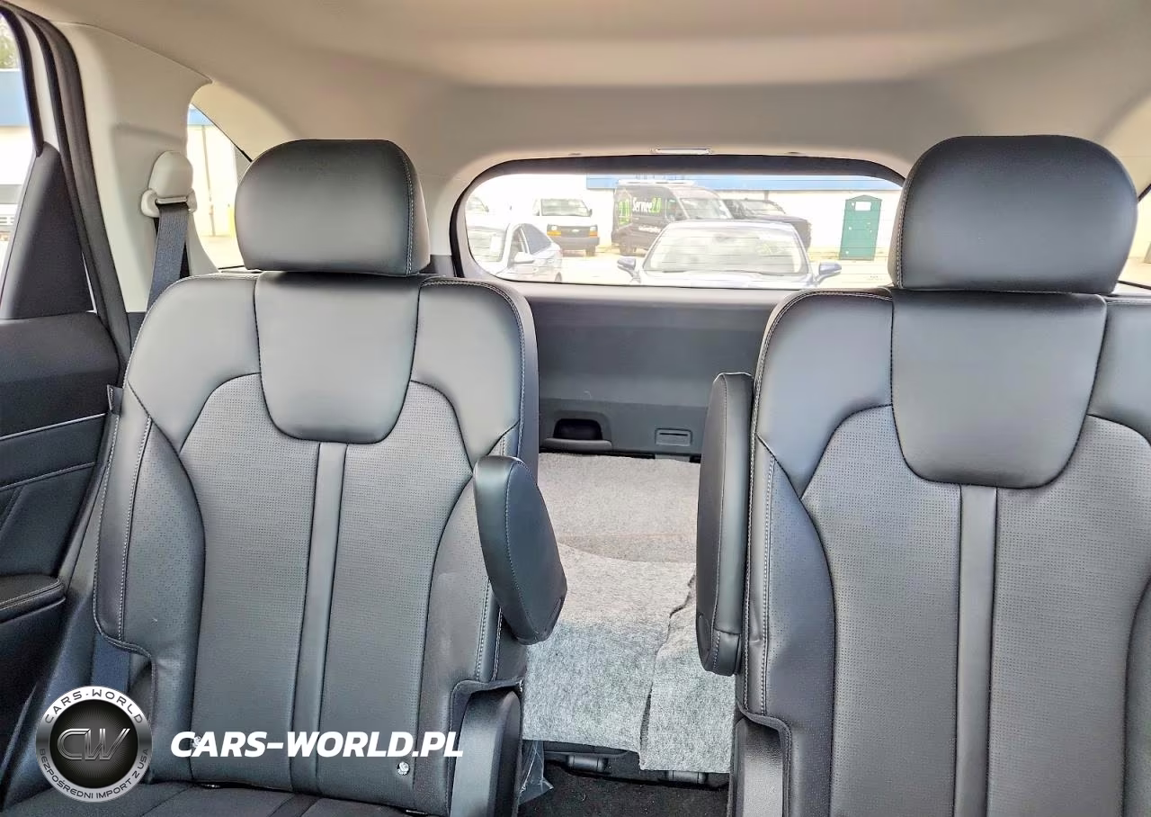 2025 Kia Sorento X-Line Sx VIN:5XYRKDJF8SG343289 - 10