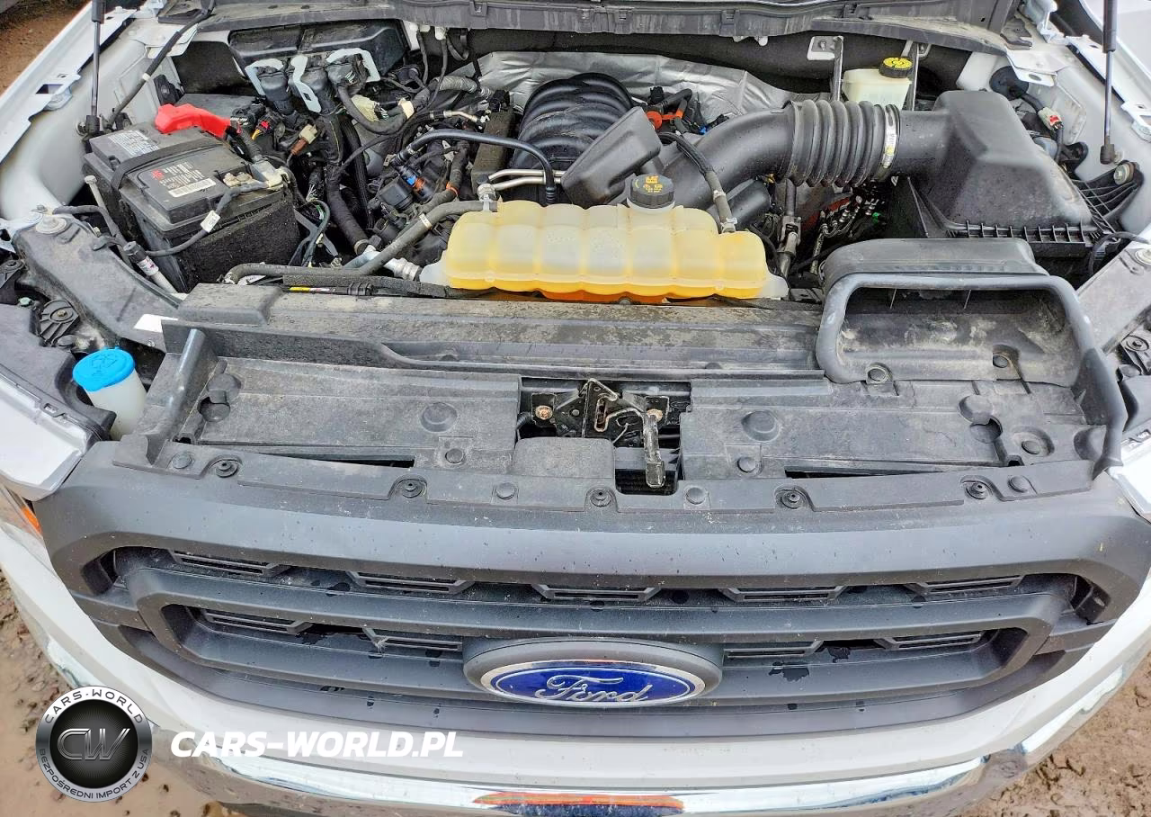 2021 Ford F150 Supercrew VIN:1FTFW1E59MKD11097 - 11
