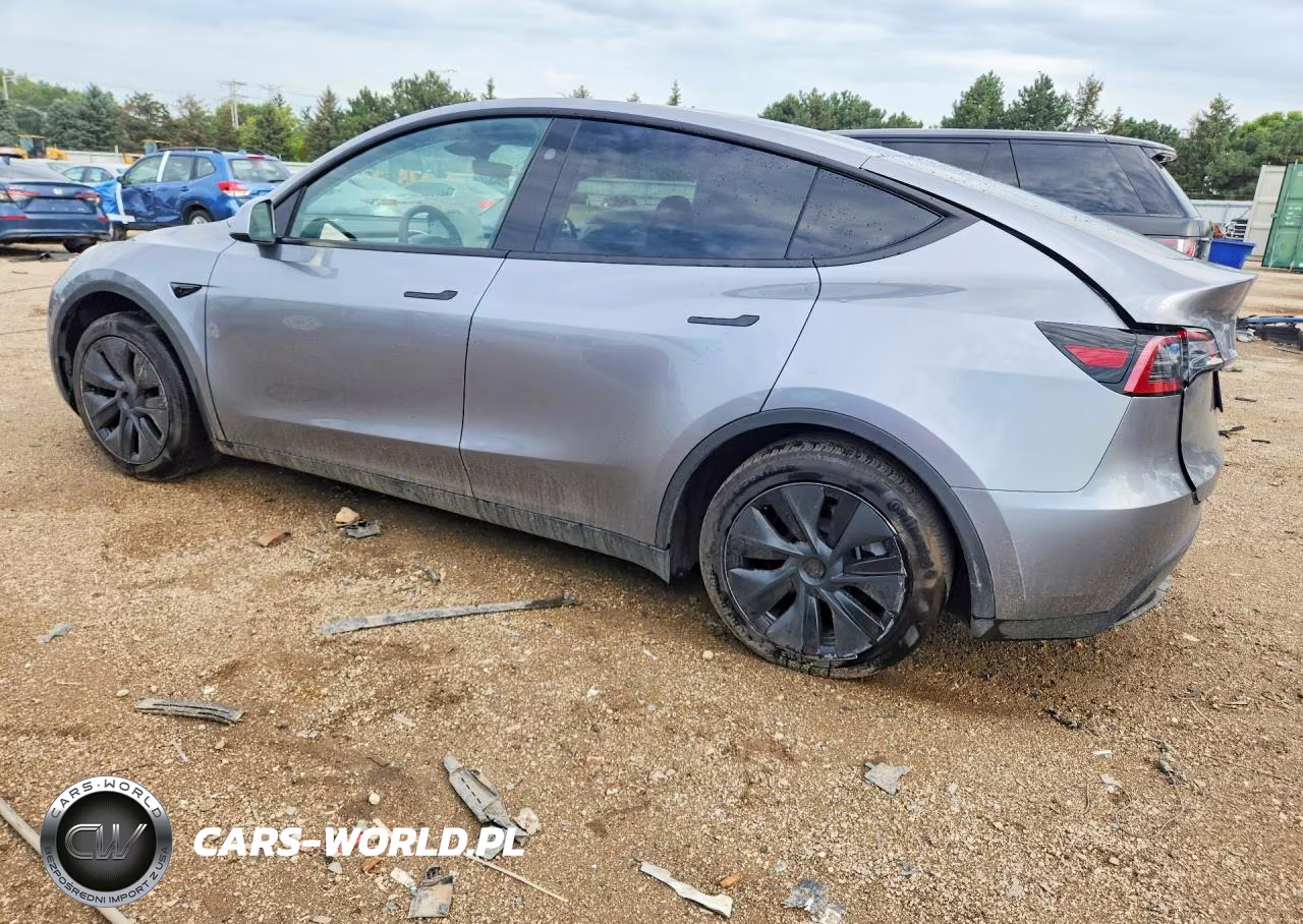 2025 Tesla Model Y VIN:7SAYGDEE6SF249288 - 2