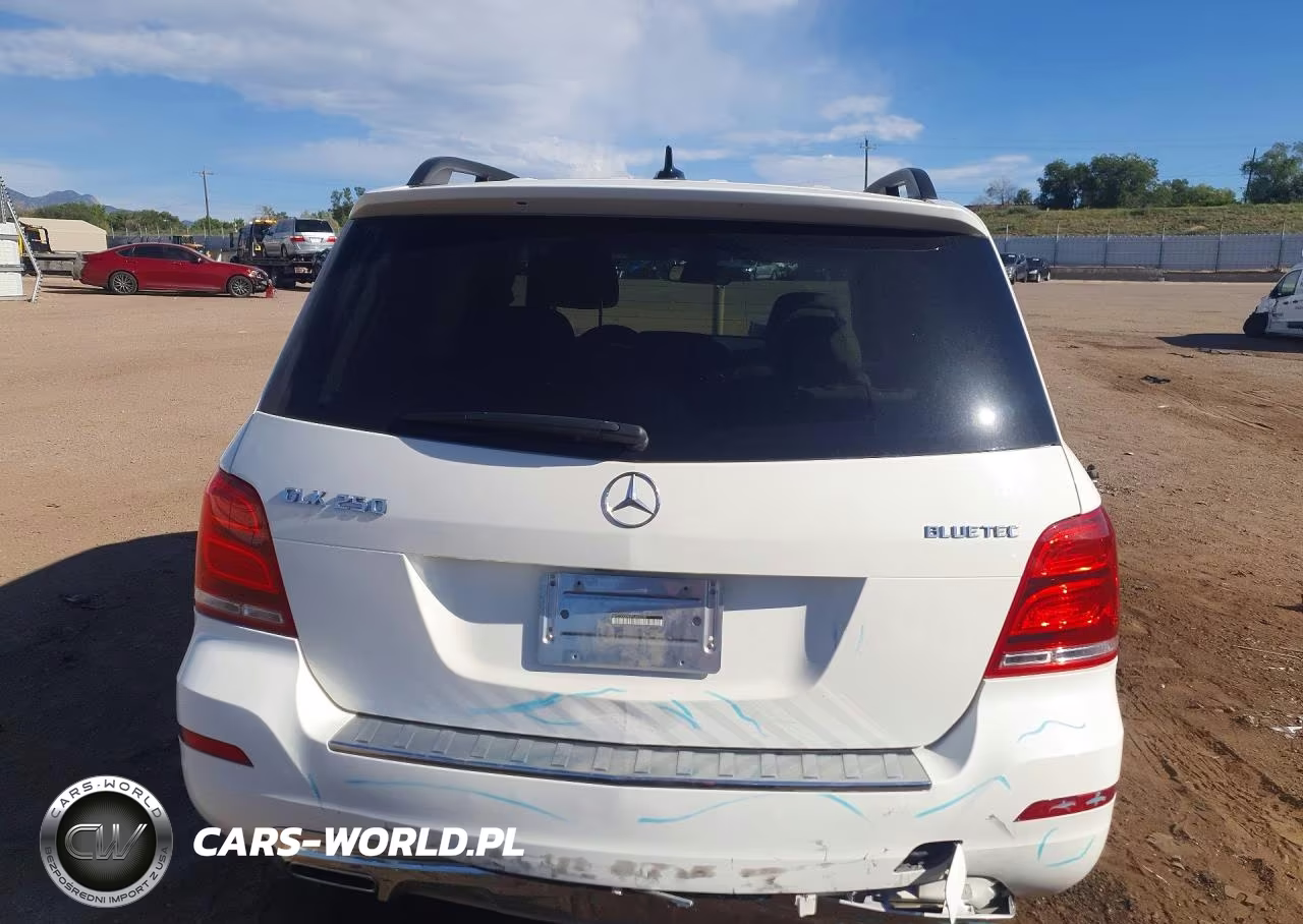 2015 Mercedes-Benz Glk 250 Bluetec VIN:WDCGG0EB5FG403230 - 6