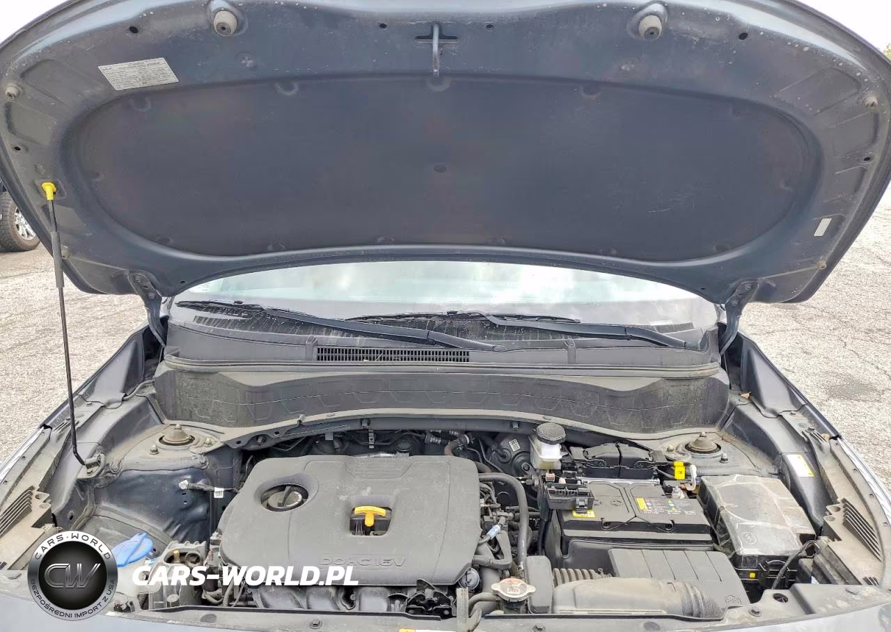 2024 Kia Seltos Ex VIN:KNDERCAA5R7556362 - 12