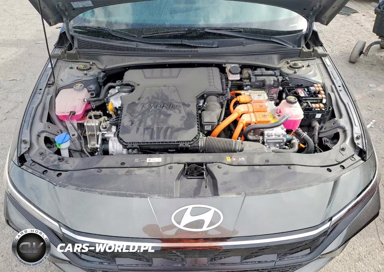 2025 Hyundai Elantra Limited VIN:KMHLN4DJ0SU141537 - 11