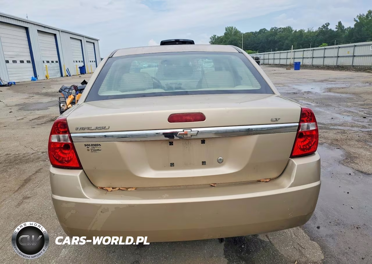 2006 Chevrolet Malibu Lt VIN:1G1ZT51F36F177591 - 6