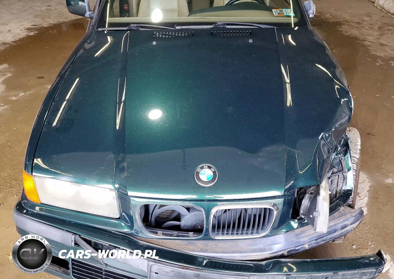 1999 BMW 323 Ic VIN:WBABJ7335XEA17863 - 11