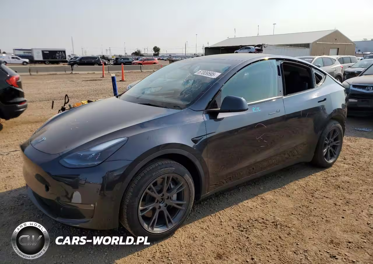 2025 Tesla Model Y