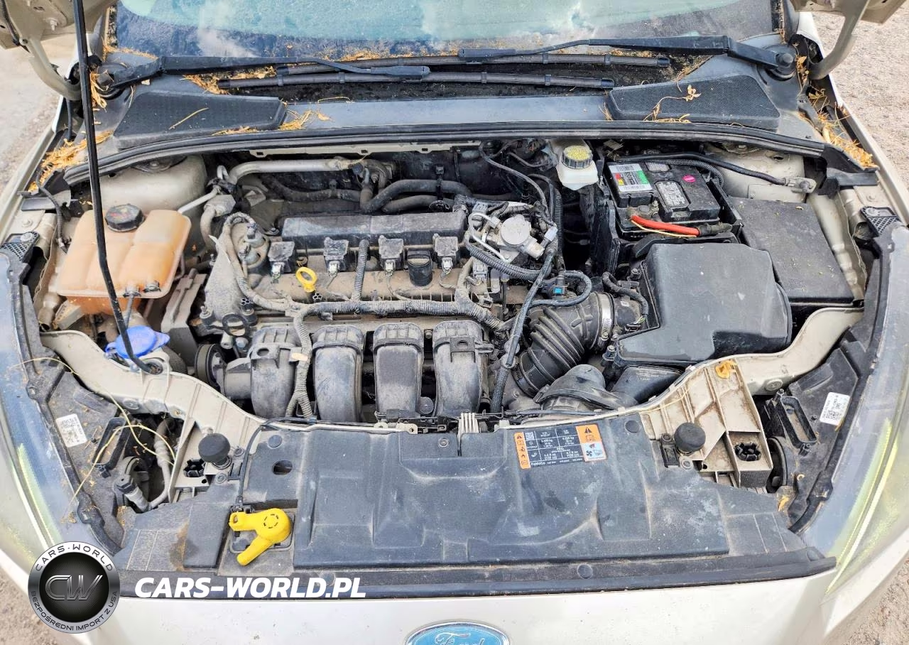 2018 Ford Focus Sel VIN:1FADP3H28JL229505 - 11