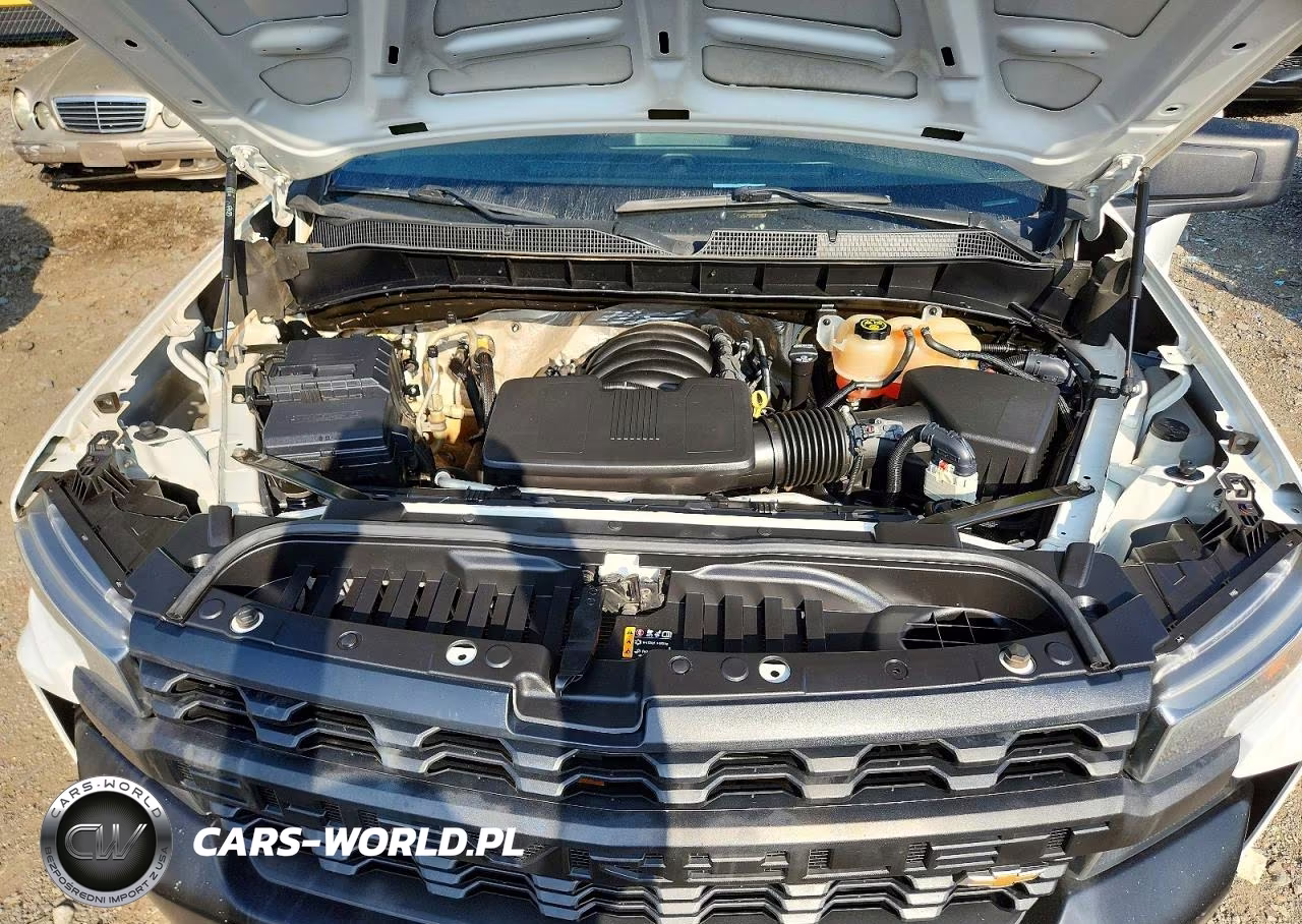 2019 Chevrolet Silverado K1500 VIN:3GCNYAEH0KG286689 - 11