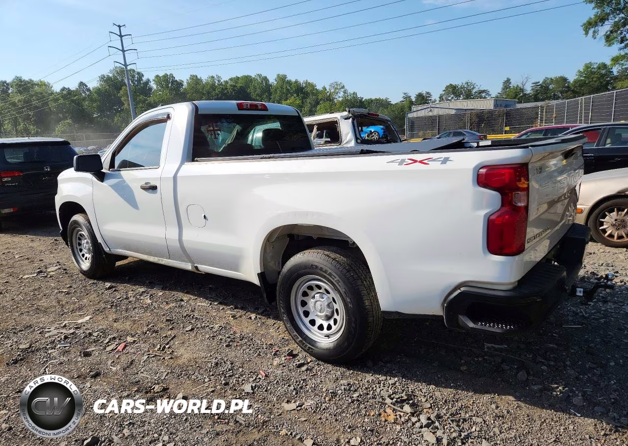 2019 Chevrolet Silverado K1500 VIN:3GCNYAEH0KG286689 - 2