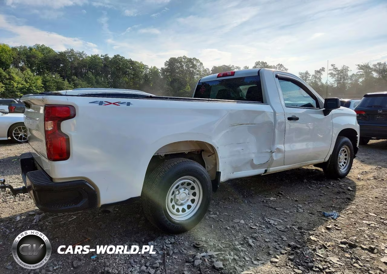2019 Chevrolet Silverado K1500 VIN:3GCNYAEH0KG286689 - 3