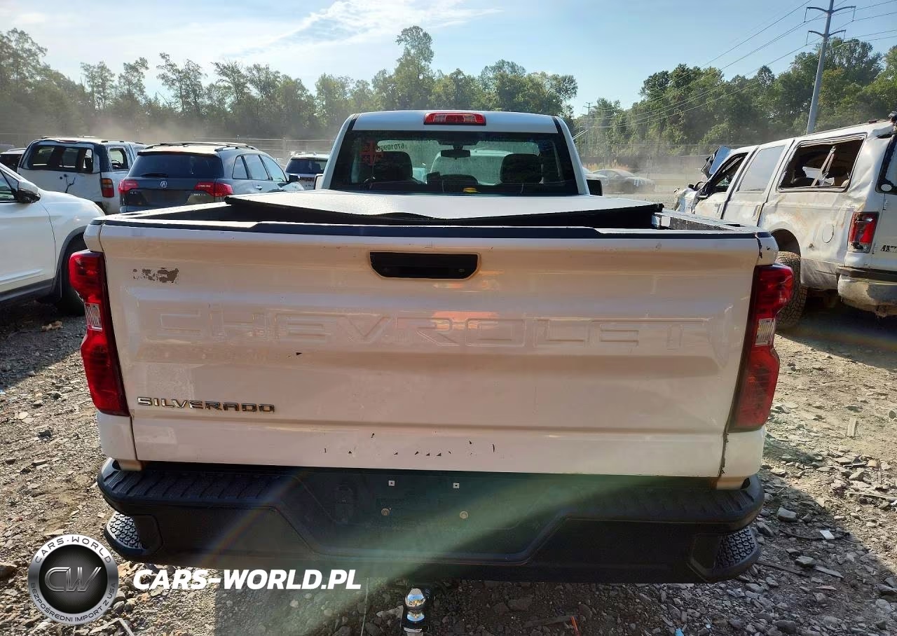 2019 Chevrolet Silverado K1500 VIN:3GCNYAEH0KG286689 - 6