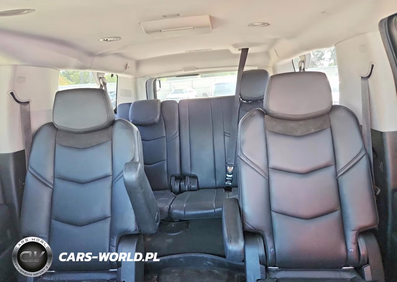 2020 Cadillac Escalade Esv Premium Luxury VIN:1GYS4JKJ9LR133214 - 10