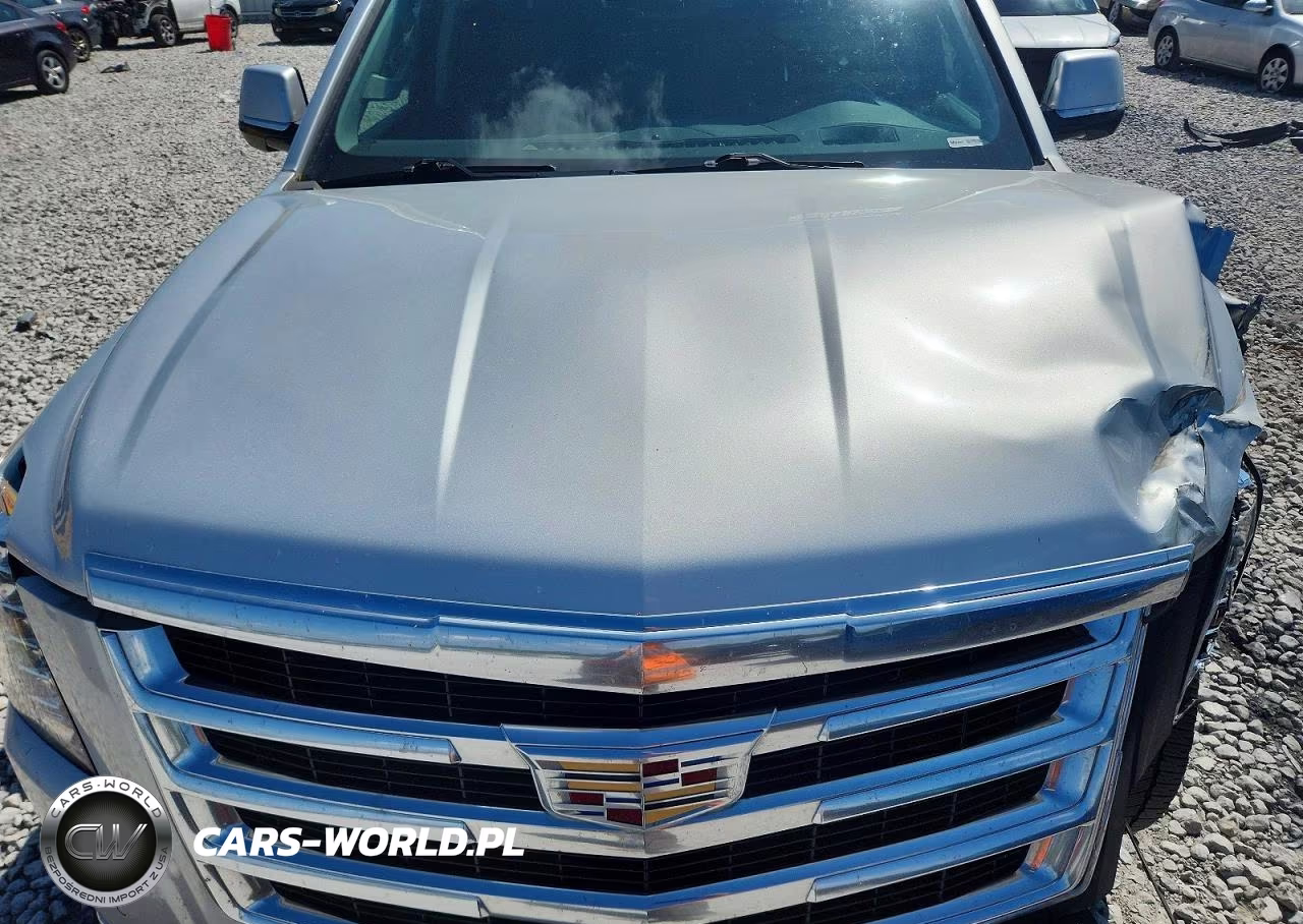2020 Cadillac Escalade Esv Premium Luxury VIN:1GYS4JKJ9LR133214 - 12