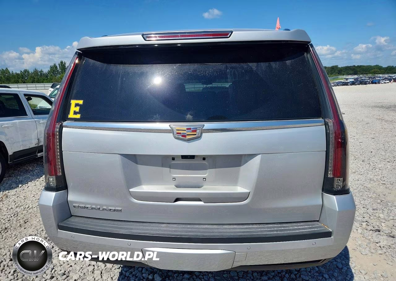 2020 Cadillac Escalade Esv Premium Luxury VIN:1GYS4JKJ9LR133214 - 6