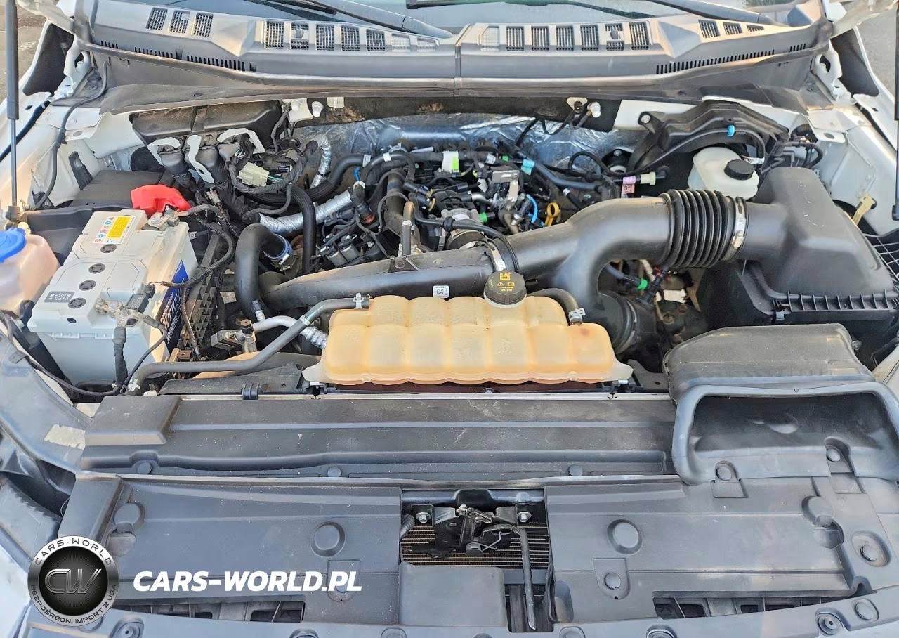 2019 Ford F150 Supercrew VIN:1FTEW1EP6KKC10416 - 11