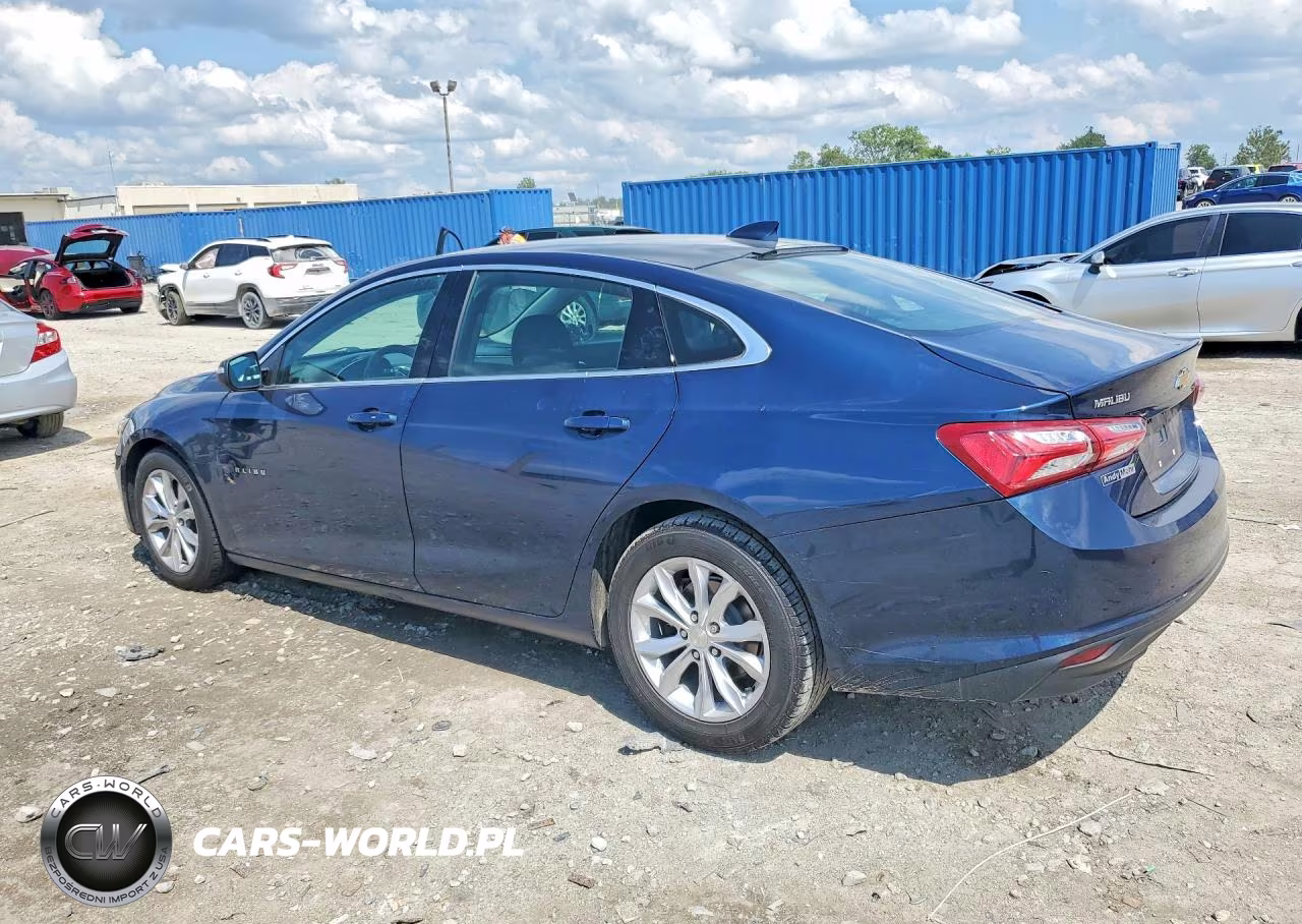 2019 Chevrolet Malibu Lt VIN:1G1ZD5ST4KF119873 - 2