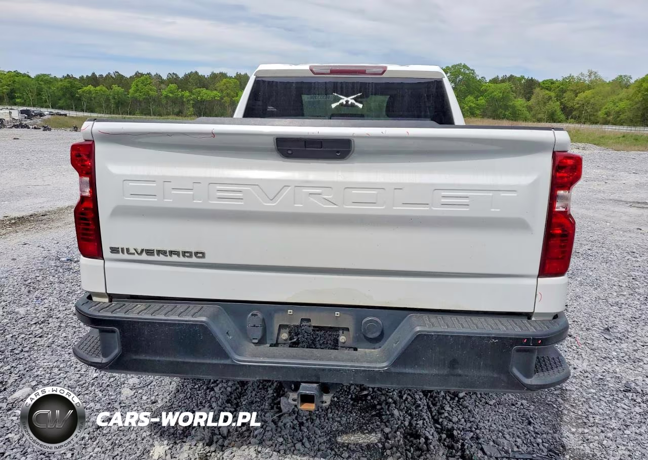 2019 Chevrolet Silverado C1500 VIN:1GCRWAEHXKZ251164 - 6