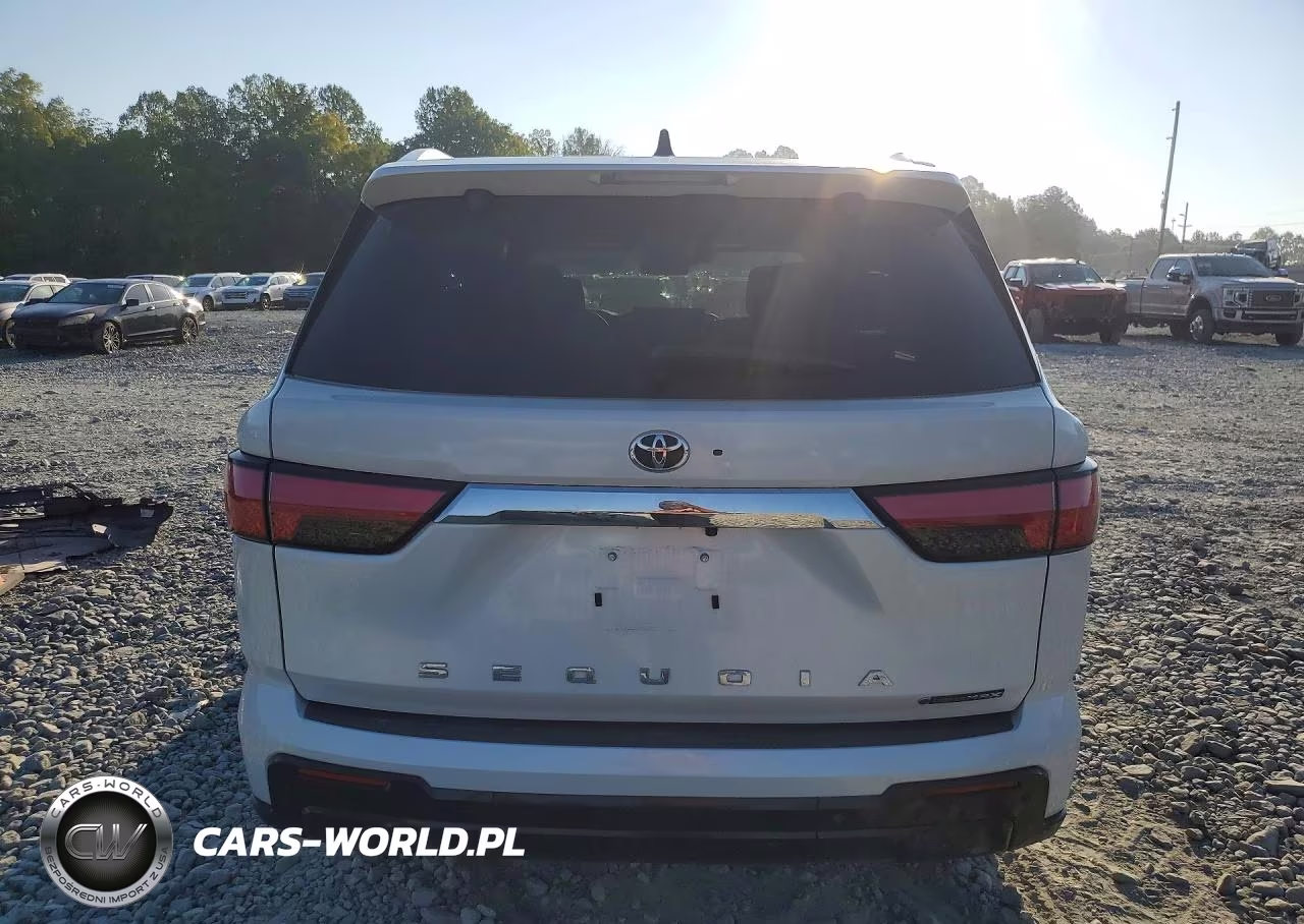 2025 Toyota Sequoia 1794 Edition VIN:7SVAAABA1SX059815 - 6